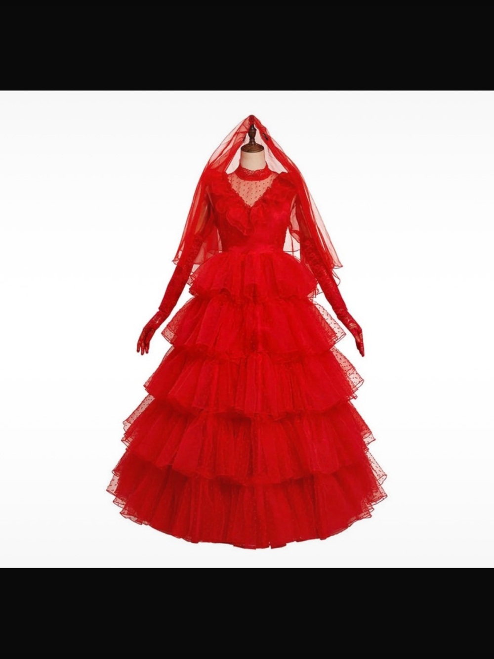 Ladies Lydia Deetz Beetlejuice costume size L